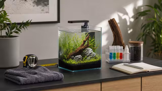 A small planted nano aquarium beside a measuring tape, test kit, towel, and notebook on a sturdy surface.