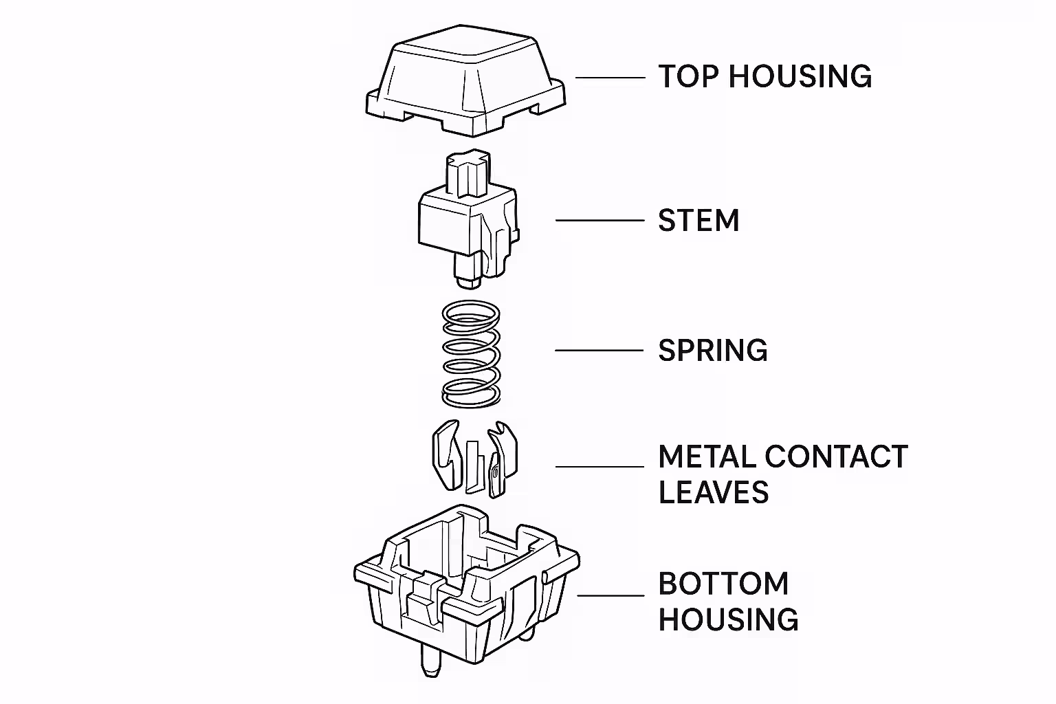 Exploded view diagram of a mechanical keyboard switch showing labeled components - top housing, bottom housing, stem, spring, and metal contact leaves - arranged vertically with clean technical illustration style on white background